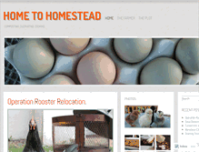 Tablet Screenshot of hometohomestead.com